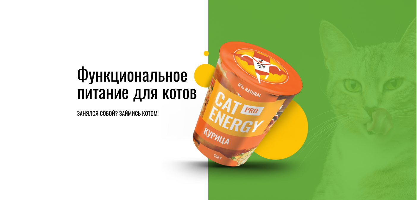 Cat-energy project